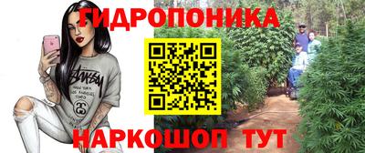 амф Ярцево