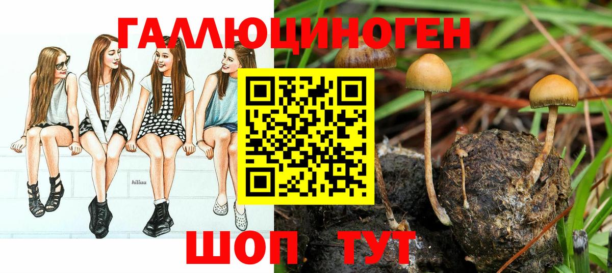 Галлюциногенные грибы Magic Shrooms  Псилоцибиновые грибы Psilocybine cubensis  Кызыл  Вход с VPN 