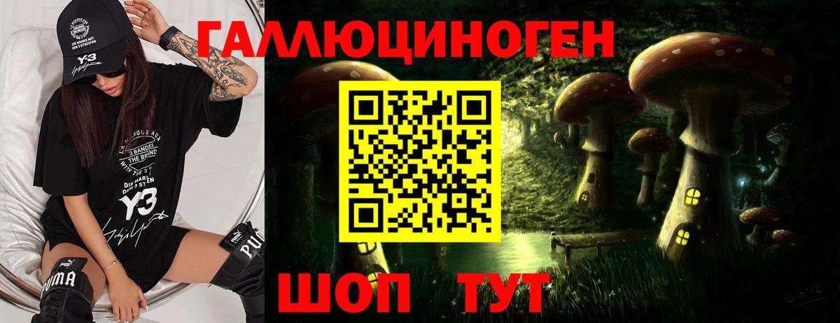 Галлюциногенные грибы прущие грибы Кызыл